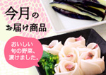 さくらの漬け物