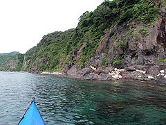 P7250074.jpg