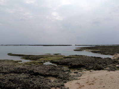 大度海岸