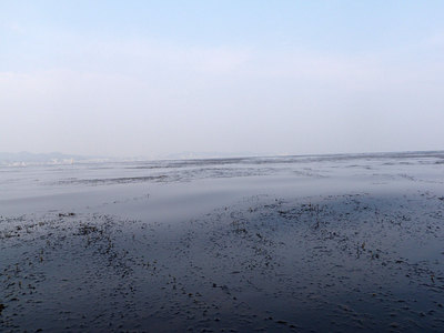 金田湾