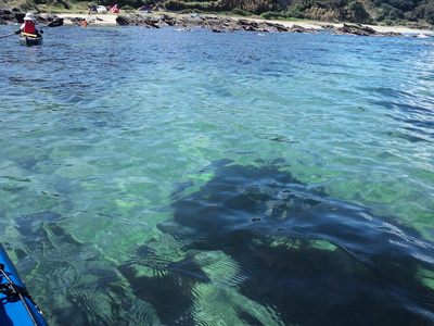 戸津浜