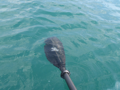 富浦 カヤック