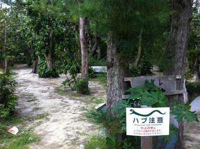 阿波連キャンプ場