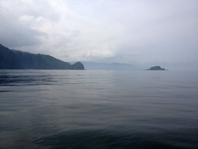 IMG_4067.jpg