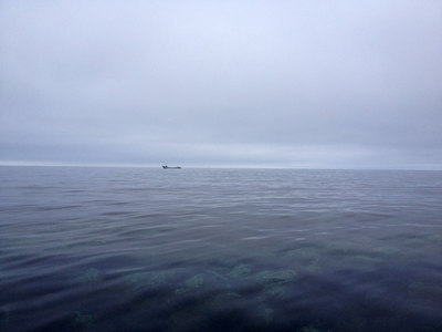 IMG_4446.jpg