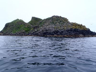 P7220322.jpg