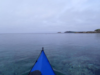 P7220337.jpg