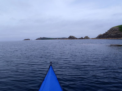 P7220340.jpg