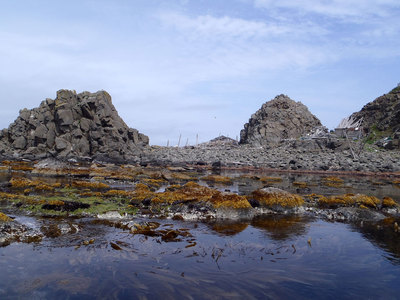 P7220343.jpg