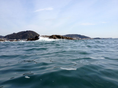 菜島
