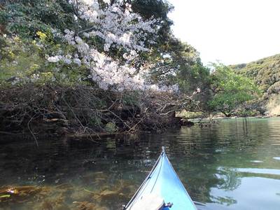 油壺
