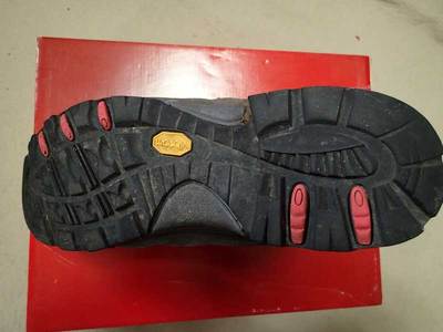 ライケル シエラGTX Raichle Sierra GTX