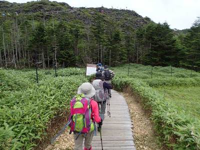 北八ヶ岳 坪庭