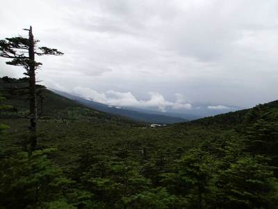 北八ヶ岳