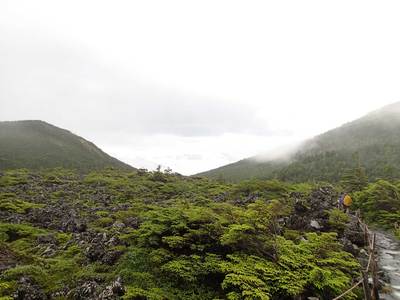 北八ヶ岳 坪庭