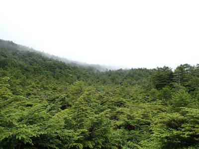 麦草峠