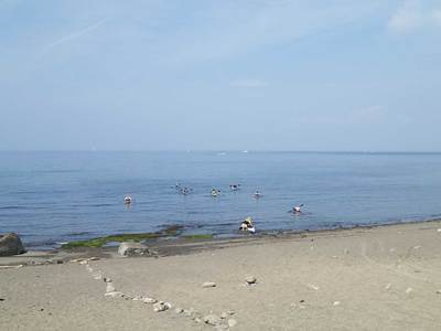 三戸浜