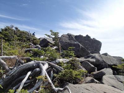 縞枯山 展望台