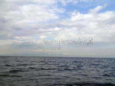 P2070011.jpg