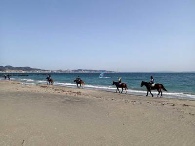 菊名海岸