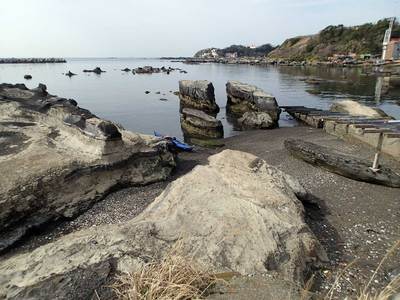 三崎 海外