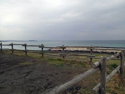 柳島海岸