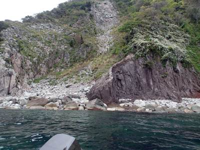伊豆 地層
