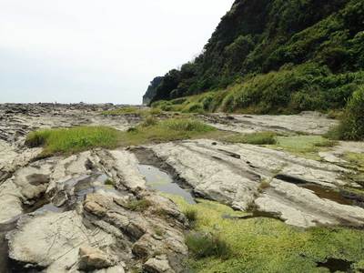 毘沙門 三浦・岩礁のみち