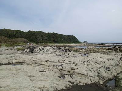 毘沙門 三浦・岩礁のみち