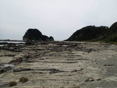 毘沙門 三浦・岩礁のみち