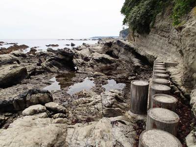 毘沙門 三浦・岩礁のみち