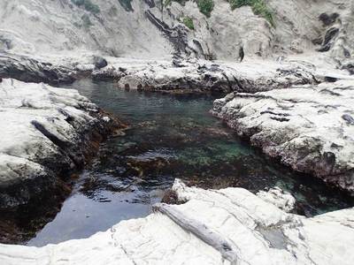 盗人狩り 三浦・岩礁のみち