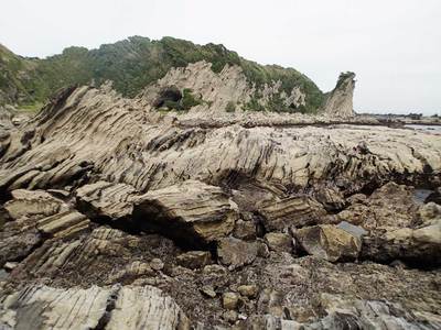 宮川 三浦・岩礁のみち