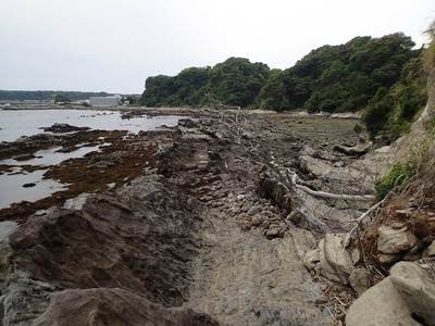 宮川 三浦・岩礁のみち