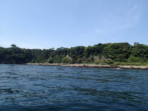 P5050008.jpg