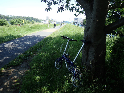 P5050057.jpg
