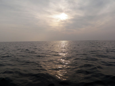 P2050010.jpg