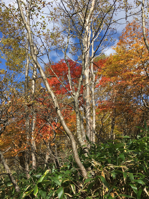 IMG_6718.jpg