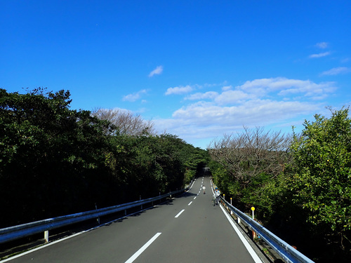 IMG_6990_20241107.jpg