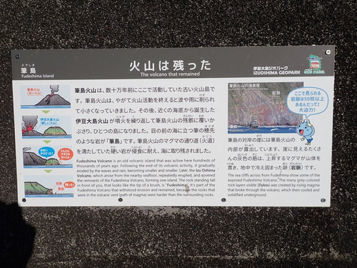 IMG_6998.jpg