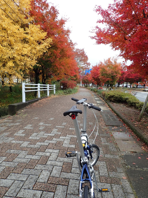 DAHON Dove Plus