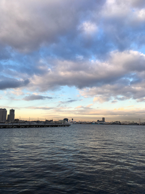 IMG_7616.jpg