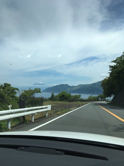 IMG_8457.jpeg