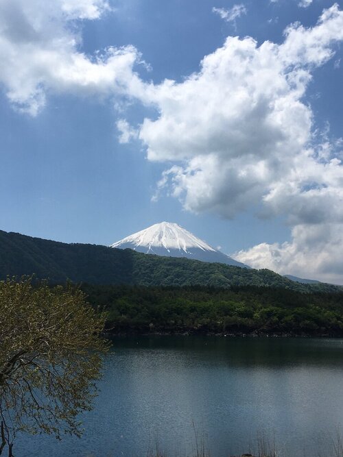 IMG_1941_20260515.jpeg