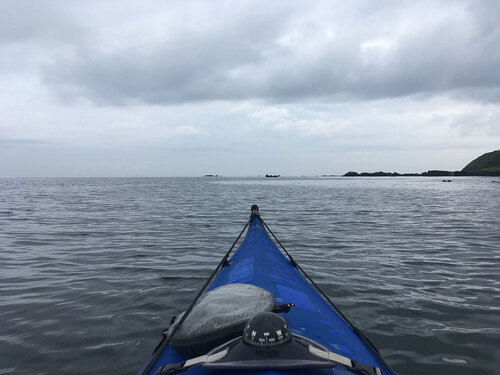 IMG_0003.jpeg