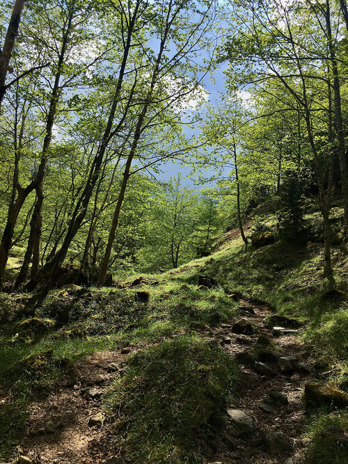 IMG_2214.jpeg