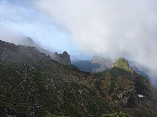 IMG_2228.jpeg