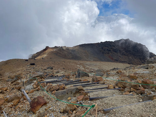 IMG_2919.jpeg