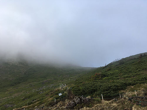 IMG_2227.jpeg
