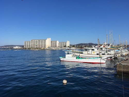 IMG_4751.jpeg